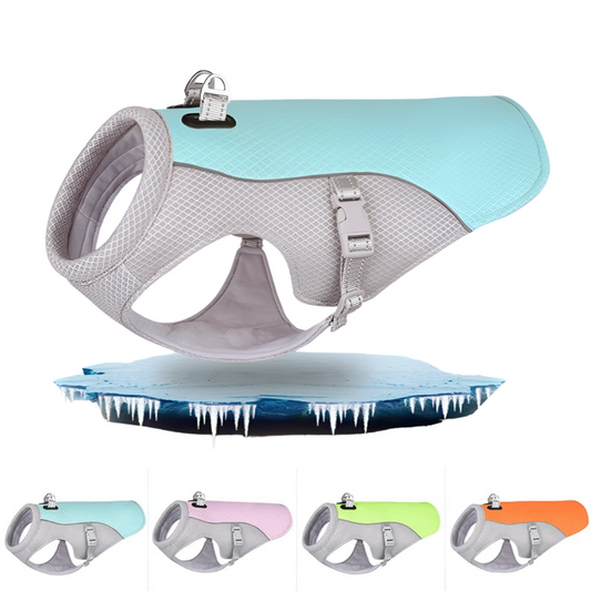 🐶 GlowPet ChillVest – Breathable Mesh Cooling Vest for Dogs