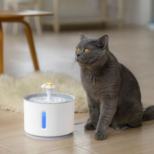 🐱 GlowPet BloomFlow – Petal-Inspired Cat Water Fountain