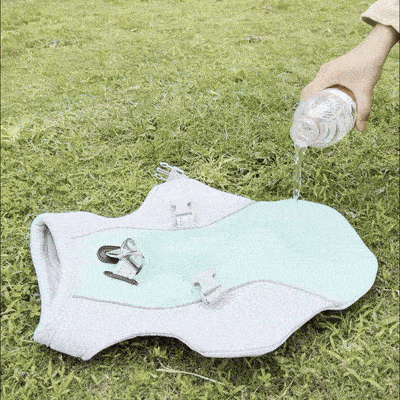 🐶 GlowPet ChillVest – Breathable Mesh Cooling Vest for Dogs