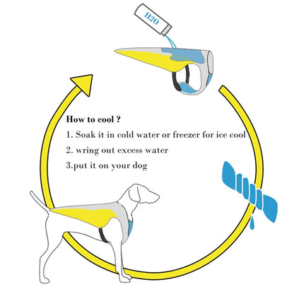 🐶 GlowPet ChillVest – Breathable Mesh Cooling Vest for Dogs